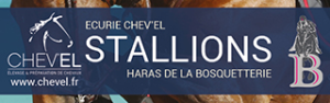 Stallions Chev'el